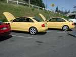 two of the several imolas cooling off at Albertson's. this pic just doesn't do the color justice.