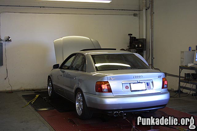 Audiboy on the dyno