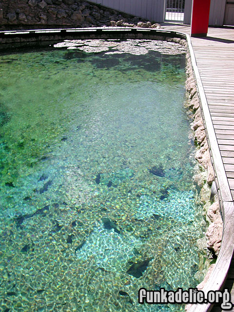 Cave and Basin National Historic Site