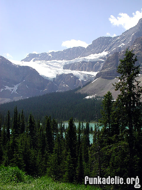 Crowfoot Glacier