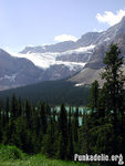 Crowfoot Glacier