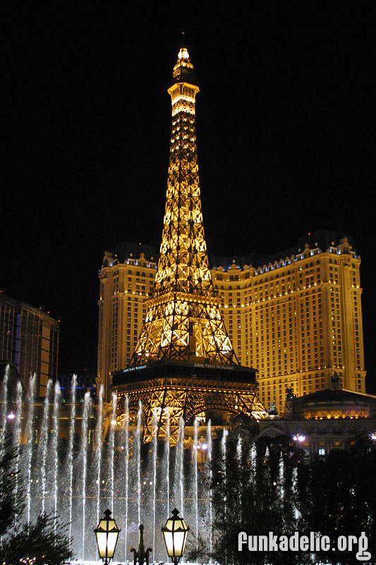 Paris from the Bellagio