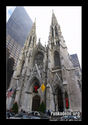 St. Patrick's Cathedral