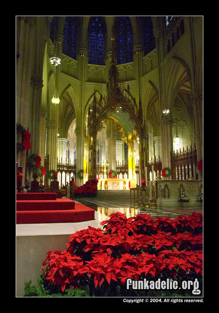 St. Patrick's Cathedral